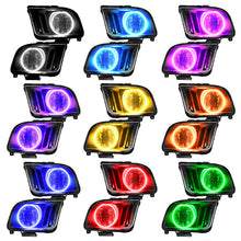 Load image into Gallery viewer, User 1
