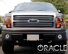 Load image into Gallery viewer, Photo - lifestyle view