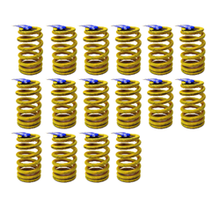 Load image into Gallery viewer, GM High Performance LS .550&quot; Lift Springs (Replaced LS6)