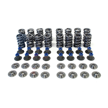 Load image into Gallery viewer, Texas Speed .660&quot; POLISHED Dual Spring Kit w/ PAC Valve Springs, Titanium Retainers, &amp; PRC Integrated Seat/Seal