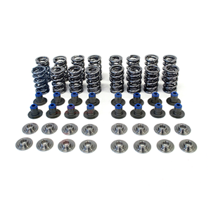 Texas Speed .660" POLISHED Dual Spring Kit w/ PAC Valve Springs, Titanium Retainers, & PRC Integrated Seat/Seal