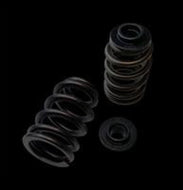 Brian Crower Polaris XP1000/XPTurbo/XP900 Beehive Spring/Steel Retainer/Seat Kit