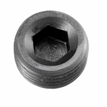 Load image into Gallery viewer, Redhorse Performance-01 (1/16&quot;) NPT Hex Head Pipe Plug - Black - 2/pkg