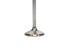 Load image into Gallery viewer, Manley Ford 4.6L 38.5mm Race Master &amp; Extreme Duty Exhaust Valves *Set of 8*